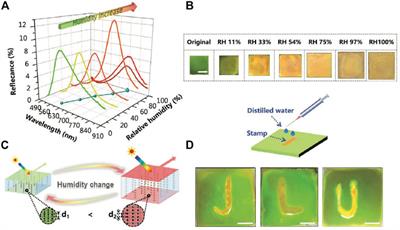 Magnetic hydrogels with ordered structure for biomedical applications